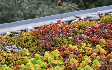 the cost of Goodshaw green roof installation