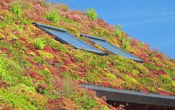 Goodshaw living roof systems